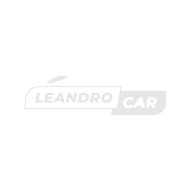 leandro logo
