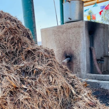 Mounds of agave fiber bagasse next to a traditional still with refrescadera after the distillation of Machee spirit.