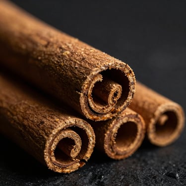 Moody macro photography of hand-rolled Ceylon cinnamon quills, dramatic low-key side lighting, shallow depth of field