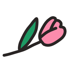 pink rose