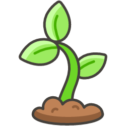 sprout