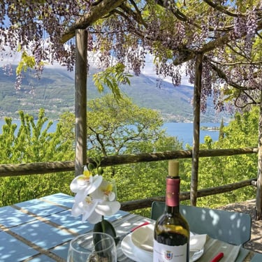terrazza con magnolia e vista lago