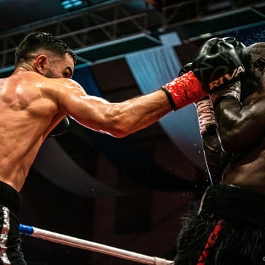 alt="photographie sport de combat style cinématographique"