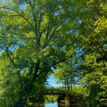 Création de visuels professionnels pour réseaux sociaux par une freelance