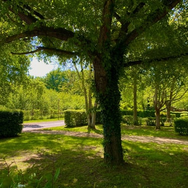 Création de visuels professionnels pour réseaux sociaux par une freelance