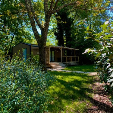 Création de visuels professionnels pour réseaux sociaux par une freelance