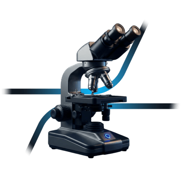 Aliva Services image