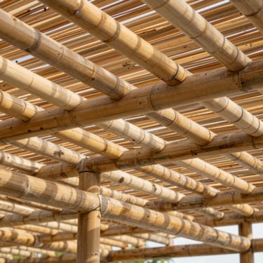 Engineered bamboo roofing rafters on a modern open-air pavilion, clean structural lines