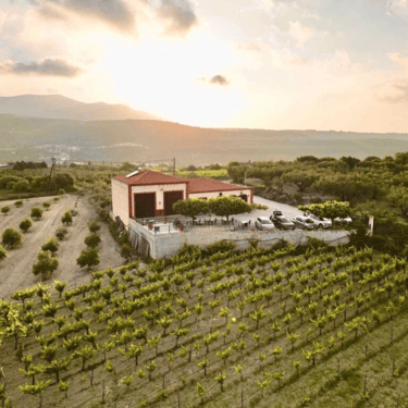Winery in Crete with breathtaking views of vineyards under the sun
