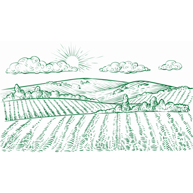 Icone montrant un champ qui représente le lien entre Kadiamor et Bourokk