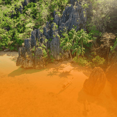 island in el nido with white sand and coonut trees