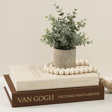 A small faux eucalyptus plant in a stone pot sits atop Gauguin and Van Gogh coffee table books.