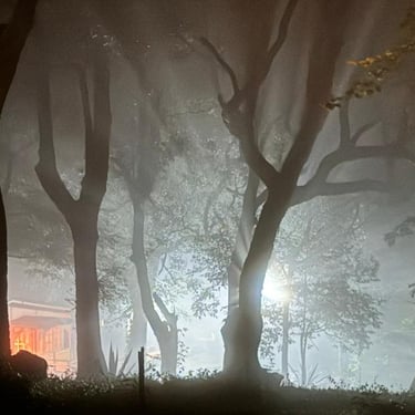 Nighttime at a mountain homestay in Chikmagalur