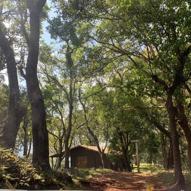 Wooden cottage in a mountain homestay in Chikmagalur