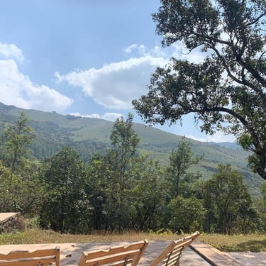Scenic view of mountains from a mountain homestay in Chikmagalur
