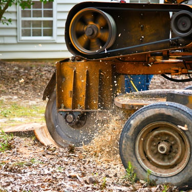 stump being ground by stump grinder