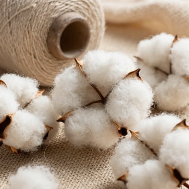 Macro shot of organic cotton fibers and raw linen yarn, warm natural daylight