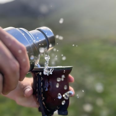 Mate tasting in the nature