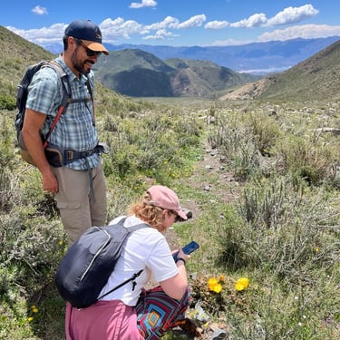 local guide shows local flora and fauna to visitor in the andes