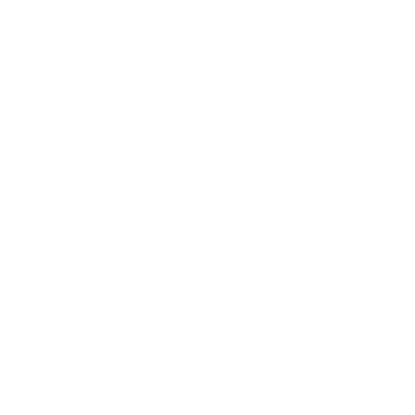 Jase Gibbons Anchor Logo