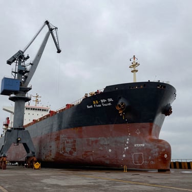 Massive drydock chamber with a bulk carrier resting on blocks, industrial crane silhouette against an overcast gray sky.
