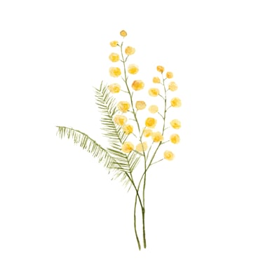 fleur du sud