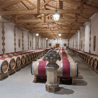 cellar and oak barrels