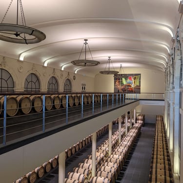 cellar and oak barrels