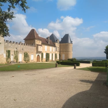 Chateau d'Yquem, Sauternes