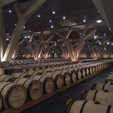 cellar and oak casks