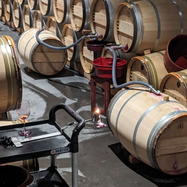 cellar, oak barrels, candle, racking