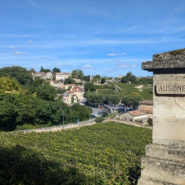 Unesco village of Saint Emilion and vineyard from Chateau Ausone