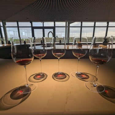 Tasting five glasses of red wine