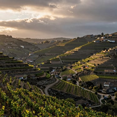 Wide environmental shot of the Douro valley at dusk, light breaking through low clouds onto terraced vineyards, human figure small at lower-left for scale, geometry of the landscape dominant