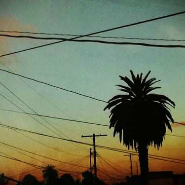 Palm Trees and Alleyways (Compton, CA - circa 2003)