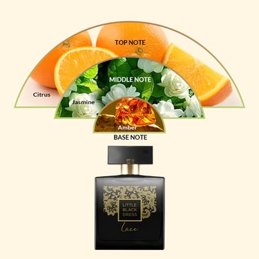 Little Black Dress Lace perfume notes showing citrus top notes, jasmine middle notes, and amber base notes.