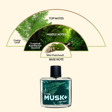 Avon Musk Instinct fragrance notes diagram featuring cedar leaf, rainforest accord, and wet patchouli.