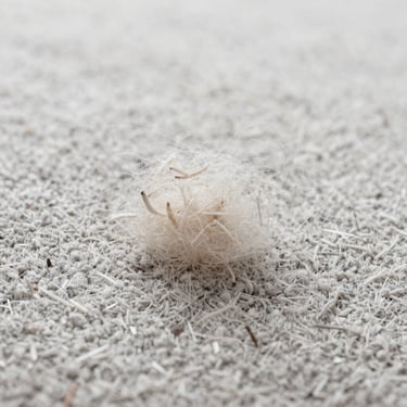 Close-up of clean carpet fibers showing restored soft texture, bright clinical lighting