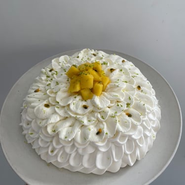 pavlova lille