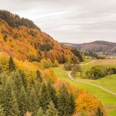 Un bouquet de jours en flamme… (Route des Bouchoux)