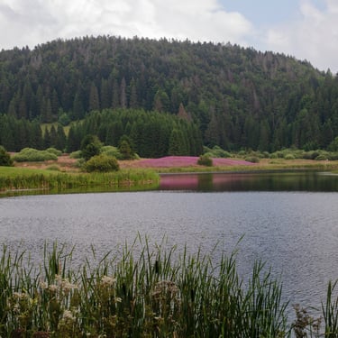 Lac de l'Embouteilleux  Jura 39