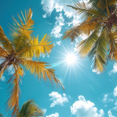 Sunny tropical weather with palm trees and blue sky in the Dominican Republic
