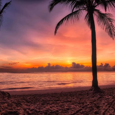 Beach sunrise with palm trees in the Dominican Republic, ideal spot for camping and outdoor travel