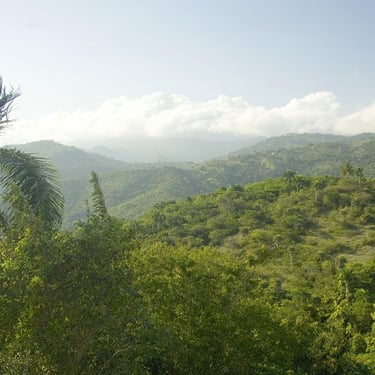 Scenic mountain view in Jarabacoa, Dominican Republic, with lush green hills, palm trees, and cloudy sky
