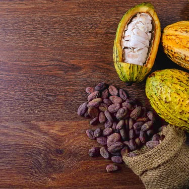 Open cacao pod with fresh pulp and dried cacao beans on a wooden table in the Dominican Republic.