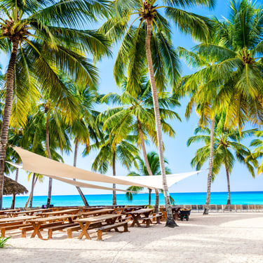 Beach dining area with wooden tables under palm trees on Saona Island, Dominican Republic