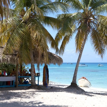 Beach bar under palm trees at Catalina Island with turquoise Caribbean sea and boats offshore