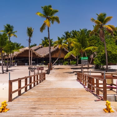 Wooden pier leading to Catalina Island beach with palm trees and thatched huts