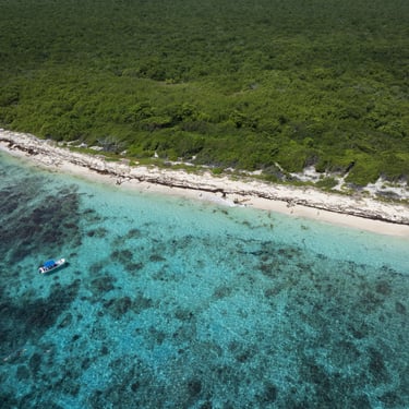 Aerial view of Catalina Island coastline with turquoise Caribbean waters and coral reef