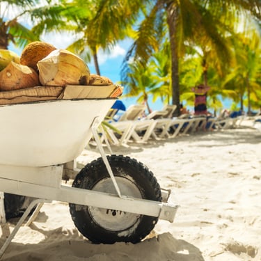 Fresh coconuts and tropical fruits in a cart on Saona Island beach, Dominican Republic